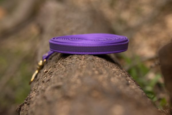 Purple Long Line in a woodland setting