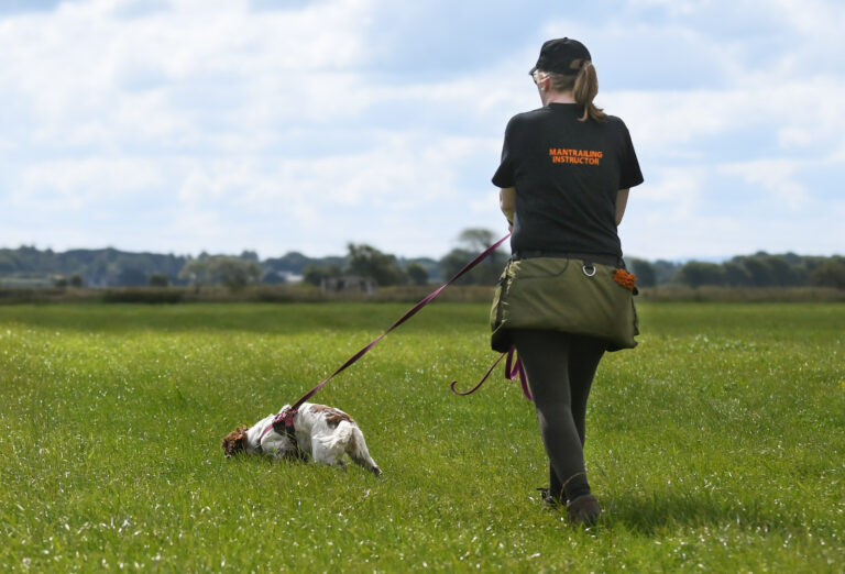 Kathryn Jones Tracking with her Springer Spaniel