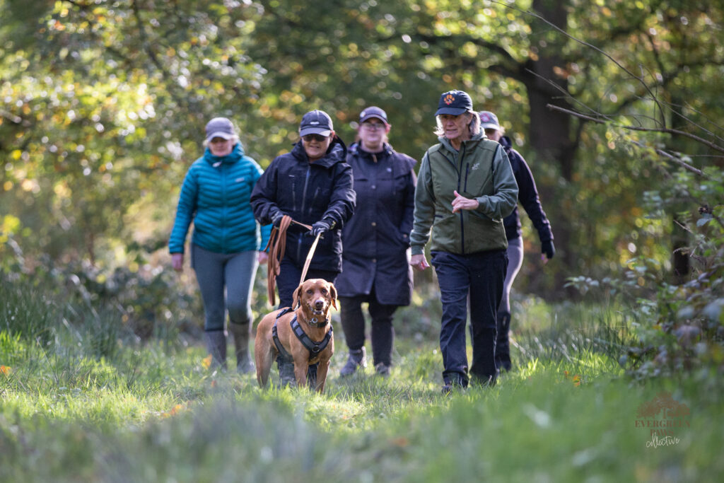 Train the Trainer day with Trailing K9s