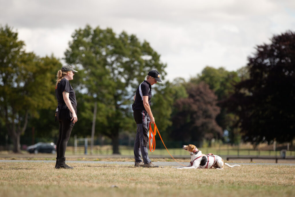 Kathryn Love teaching a client with their trail hound, focusing on reading the dogs behaviour.